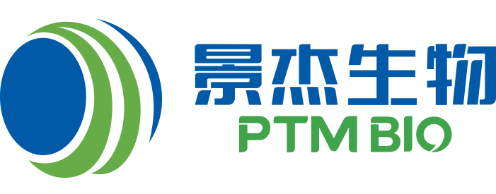 北码科技